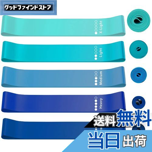 【送料無料】roseddy トレーニングチューブ ゴムバンド 筋トレ ゴムチューブ 天然ラテックス ゴムバンド チューブ トレーニング 5本セット 自宅 筋トレ ゴム バンド 美尻 トレーニングバンド リハビリ ゴムバンド ストレッチバンド(青) 【送料無料】roseddy トレーニングチューブ ゴムバンド 筋トレ ゴムチューブ 天然ラテックス ゴムバンド チューブ トレーニング 5本セット 自宅 筋トレ ゴム バンド 美尻 トレーニングバンド リハビリ ゴムバンド ストレッチバンド(青)