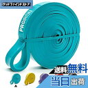 【送料無料】PROIRON レジスタンスバンド 抵抗バンド トレーニングバンド 天然ラテックス製 緑 (6.7-13KG)