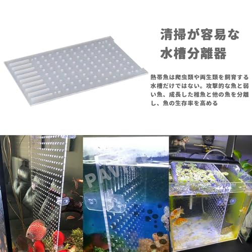 ������̵����PAVIKE������ڤ��� ���奻�ѥ졼���� ���� ��²�ۥǥ��Х����� ������ڤ� ���� ��Υ �����դ��������Ѳ�ǽ��Ʃ���ʿ��奢�������ڤꥻ�ѥ졼���ץ졼�ȥХåե롢������λ����