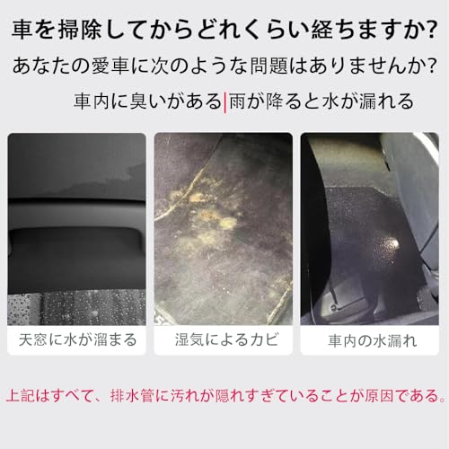 ������̵����BIUTEFOR �ѥ��ץ֥饷 ���ѥ���롼���ӿ奯�꡼�˥󥰥֥饷 5m �٤� Ĺ�� �֤��ӿ��ͤޤ�޴�إ��꡼�˥󥰥֥饷�ġ��� ��¢���ӿ��֥饷 �ݽ��֥饷 ¿��ǽ �����Ѳ�ǽ �ʤ������ӿ����ݽ� �۴ɤ�»���ʤ� ������ �ͤޤ� ���