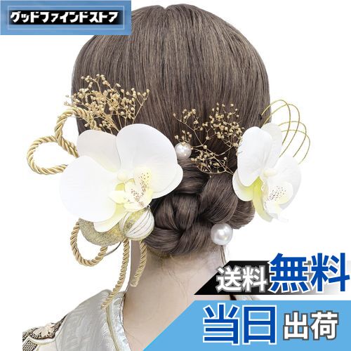 ̵[JZOON] ͼ ȱ ĳ ɥ饤ե ꥢ 祦  ¶  ۥ磻  ޻   ʪ  µ...