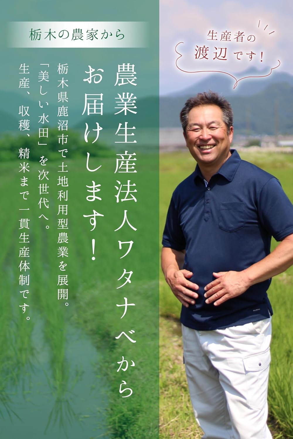 【送料無料】農業生産法人ワタナベ 令和7年産 無洗米 5kg お米 【 大粒 で冷めても美味しい 甘み旨み粒しっかり 】 栃木県 新ブランド とちぎの星 米 おこめ/ 5kgx1袋 goodfindstore-10180170 グッドファインドストア サンプル画像3