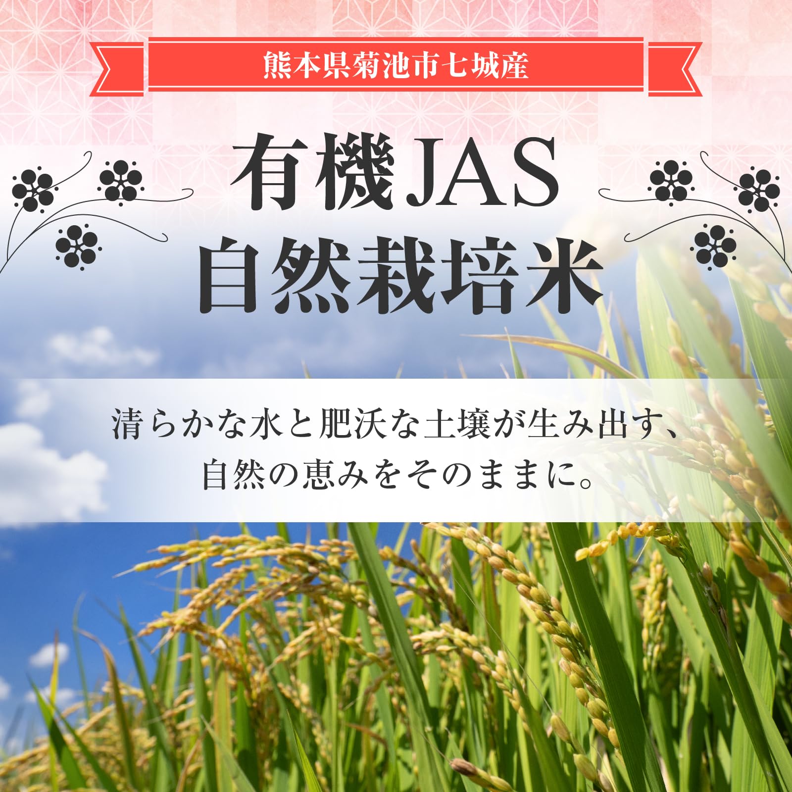 【送料無料】【玄米,2kg】自然栽培米 ヒノヒカリ 有機JAS認証 熊本県菊池市七城産 無農薬&無化学肥料 有機栽培 オーガニック 有機玄米 サステナブル goodfindstore-10181239 グッドファインドストア サンプル画像3