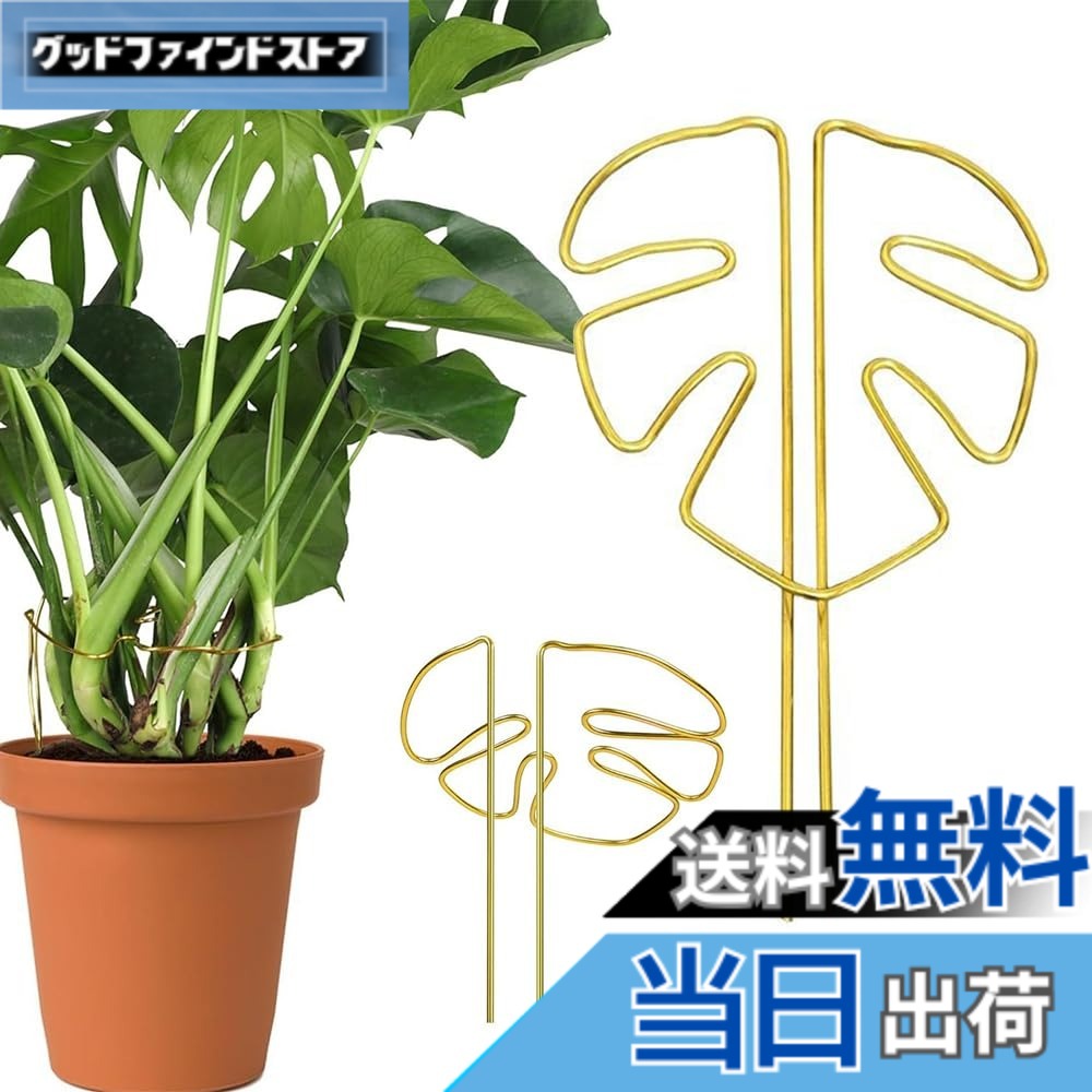 商品情報商品の説明商品の説明 テントは高品質合金材料を用いて製造され、表面銅色処理、防腐防錆、抗酸化能力が強く、摩耗しにくく 安全警告 慎重に取り扱ってください。尖った先端で傷つきます。地下の設備を損傷する可能性があります。適切に固定してください。主な仕様 【自然通風】独特な葉形構造は支持と通風機能を巧みに融合させ、植物の枝幹を強固に固定するだけでなく、良好な空気の流通を維持し、どの葉も十分に日光を浴び、植物の健全な成長を助け、光合成を加速させることができることを確保する。【良質合金】ステントは高品質合金材料を用いて製造され、表面銅色処理、防腐防錆、抗酸化能力が強く、摩耗しにくく、長期使用しても光沢と強度を保持でき、実用性と観賞性を兼ね備えている。【構造が安定している】構造設計を強化し、植物の転倒を効果的に防止し、特に藤本類、枝葉が繁茂しているか、大きくて倒れやすい植物の使用に適し、植物の安定した上向き成長を助け、清潔で秩序ある緑植空間を作る。【柔軟な調整】工具を必要とせず、植物の形態に応じて角度とリング構造を自由に調整でき、異なる成長段階とサイズを配合することができ、設置過程は簡単で省力的で、園芸初心者も簡単に手に入れることができる。【多場面応用】多種の観賞植物、花卉及び緑植物、例えば亀背竹、バラ、藤登り類などに適用する。家庭園芸でも農場栽培でも、植物の成長軌跡を効果的に管理し、養生効率と美感を高めることができる。