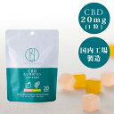 CBD Gummis 20粒 ｜ CBD総配合量 400mg ｜ グミ ( マスカット風味 / ピーチ風味 ) ｜HalloGooday｜高配合｜セラピー｜直送｜お一人様5個まで