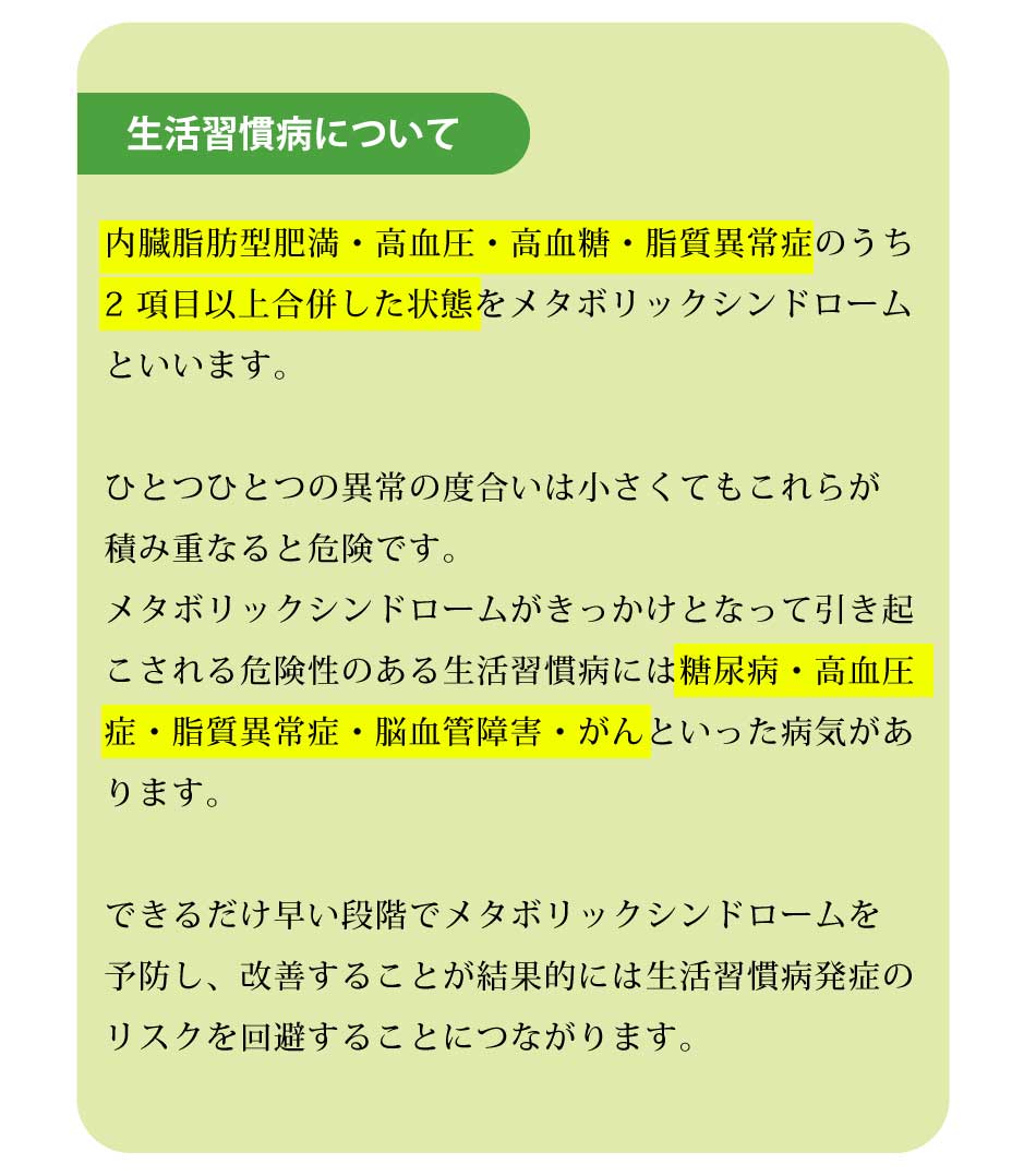 郵送検診キット 申込書 メタボリックシンドローム+生活習慣病 検診申込セット 【2個セット】 健診 血液検査 日本医学 病気検査 肝臓（GOT・GPT・y-GTP） 糖尿（グリコヘモグロビン） 腎臓（クレアチニン） 脂質（コレステロール(HDL・LOL)・中性脂肪） 痛風（尿酸） 直送 3