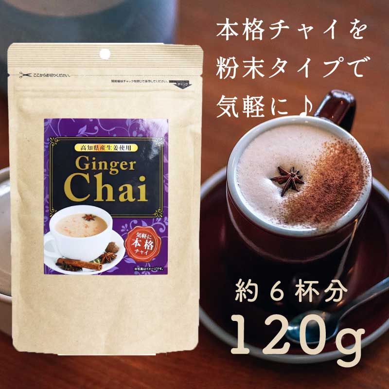  ジンジャーチャイ （1袋：120g） 粉末 インスタント 生姜チャイ スパイス紅茶 スパイス 紅茶 直送