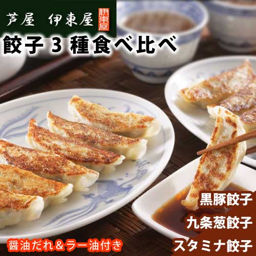 餃子 3種 食べ比べ セット 48個 （16個入り×3種） 