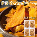 ドライマンゴー 300g×40セット（12kg） ｜切り落とし｜タイ産｜マンゴー｜ドライフルーツ｜まとめ買い｜大量｜業務用｜備蓄｜買い置き｜非常食｜ストック｜ローリングストック｜防災｜直送