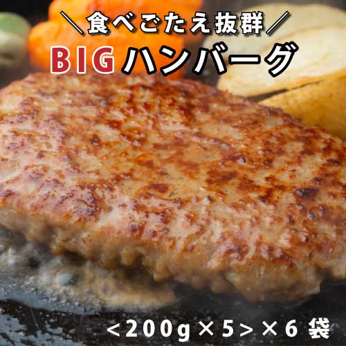 ビッグハンバーグ （200g×5個）×6袋セット ｜ハンバーグ｜加熱調理済｜焼成済｜まとめ買い｜大量｜業務用｜備蓄｜買い置き｜非常食｜ストック｜ローリングストック｜防災