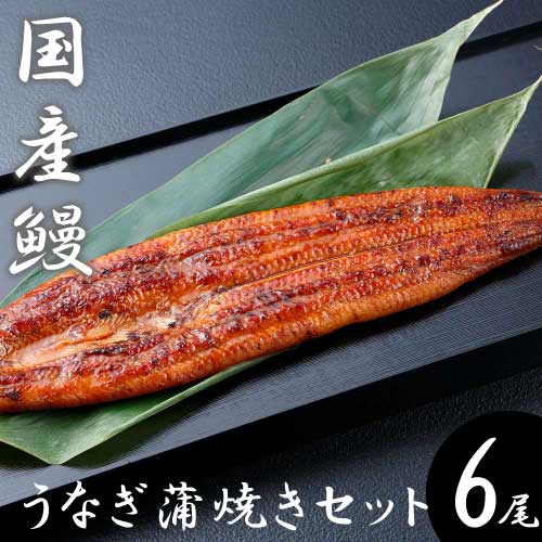 国産鰻蒲焼セット 6尾（計720g）｜うなぎ専門店御用達｜うなぎ問屋の大五｜活鰻問屋「うなぎ工房」｜2018モンドセレクション金賞受賞