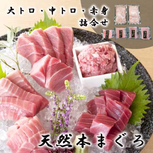 まぐろ故郷「三浦三崎港」より、まぐろ問屋が選んだ本まぐろの詰合せを産地直送にてお届けします。 こんなシーンにも おすすめ インスタ 迎春 お正月 年末年始 暑中御見舞 残暑御見舞 節分 バレンタインデー ホワイトデー ひな祭り お花見 ハロウィン クリスマス 冬ギフト 御歳暮御祝 御礼 謝礼 お土産 手土産 贈りもの 快気内い プチギフト 入学式 開業祝い 古希祝い 白寿 退院祝い 誕生祝い 御霊前 御仏前 お盆 新盆 お彼岸 仏事 志 御供物 お悔やみ 高級 お取り寄せ 家呑み お家居酒屋 お家レストラン 口コミ 売れ筋 人気 高級 内祝　内祝い　お祝い返し　ウェディングギフト　ブライダルギフト　引き出物　引出物　結婚引き出物　結婚引出物　結婚内祝い　出産内祝い　命名内祝い　入園内祝い　入学内祝い　卒園内祝い　卒業内祝い　就職内祝い　新築内祝い　引越し内祝い　快気内祝い　開店内祝い　二次会　披露宴　お祝い　御祝　結婚式　結婚祝い　出産祝い　初節句　七五三　入園祝い　入学祝い　卒園祝い　卒業祝い　成人式　就職祝い　昇進祝い　新築祝い　上棟祝い　引っ越し祝い　引越し祝い　開店祝い　退職祝い　快気祝い　全快祝い　初老祝い　還暦祝い　古稀祝い　喜寿祝い　傘寿祝い　米寿祝い　卒寿祝い　白寿祝い　長寿祝い　金婚式　銀婚式　ダイヤモンド婚式　結婚記念日　ギフト　ギフトセット　セット　詰め合わせ　贈答品　お返し　お礼　御礼　ごあいさつ　ご挨拶　御挨拶　プレゼント 送料無料　お見舞い　お見舞御礼　お餞別　引越し　引越しご挨拶　記念日　誕生日　父の日　母の日　敬老の日　記念品　卒業記念品　定年退職記念品　ゴルフコンペ　コンペ景品　景品　賞品　粗品　お香典返し　香典返し　志　満中陰志　弔事　会葬御礼　法要　法要引き出物　法要引出物　法事　法事引き出物　法事引出物　忌明け　四十九日　七七日忌明け志　一周忌　三回忌　回忌法要　偲び草　粗供養　初盆　供物　お供え　お中元　御中元　お歳暮　御歳暮　お年賀　御年賀　残暑見舞い　年始挨拶　話題　のし無料　メッセージカード無料　ラッピング無料　手提げ袋無料　大量注文 商品検索キーワード 本マグロ 鮪ブロック 寿司 鮨 ちらし鮨 にぎり マグロ丼 漬けまぐろ 日本酒に合う 柵 サク 海鮮丼 お刺身