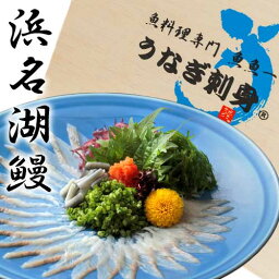 浜名湖うなぎの刺身｜うなぎ刺身｜魚料理専門店 魚魚一｜ありそうでなかった鰻の新食感｜ポン酢・もみじおろし付｜直送 ご贈答用