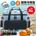 マラソン sale\2025新品登場/ソフトクーラーボックス 6mm極厚保冷材 保冷バッグ 24時間保冷 大容量 30L 900D クーラーバッグ 折りたたみ ...