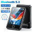 ܴ֡ʡե륿å AGPTEK mp3ץ졼䡼 ե륿å꡼ Bluetooth5.3 ڥץ졼䡼 2.8 ե륿åѥͥ 64GB¢ ޥ ԡ ǥ륪ǥץ졼䡼 HIFIⲻ ǲվ/ޥž/FM饸/쥯Ͽפ򸫤