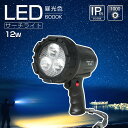 【マラソンSALE】GOODGOODS LED サーチラ