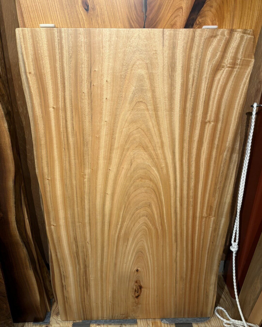 【現品限り】楠 一枚板 テーブル W1510×D890〜920mm 天厚51mm ウレタン塗装 選べる...