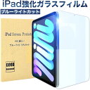 【ブルーライトカット】iPad 第10世