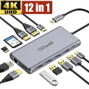 【12in1ハブ】USB Type-C ハブ HDMI 4K DP USB3.0 PD対応 SDカードリーダー microSD 有線lan 充電 LANポート トリプルディスプレイ 100W 変換 アダプタ タイプC ノートパソコン ノートPC MacBook surface iPad Pro