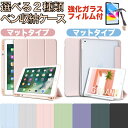 2タイプのペン収納ケース iPad 第10世代 第9世代 第8世代 第7世代 第6世代 第5世代 Air5 ケース Air4 カバー 10.2インチ 9.7 mini5 Pro11 カバー 強化ガラスフィルム付き 9H硬度 半透明 くすみ かわいい air5 air4 mini6