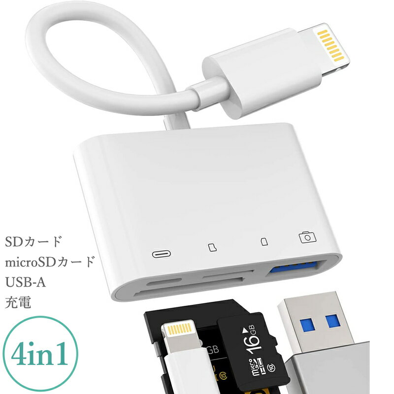 【エントリーでポイント5倍】USB 変