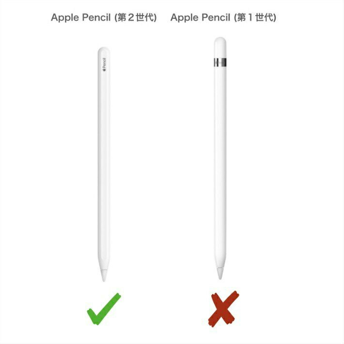【エントリーでポイント5倍】Apple Pencil第2世代専用 カバー iPad Pro 新型iPad iPad 10.2 第7世代 第6世代 アップルペンシル Apple Pencil 第2世代に対応 3