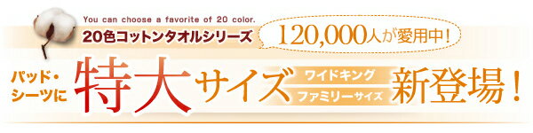 【エントリーでポイント5倍】コットン オールシーズン 綿 綿100％ タオル地 タオル生地 タオル さらさら サラサラ パッド一体型ボックスシーツ キング 同色2枚セット 2