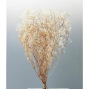 【76-15-831】 プリザーブドフラワー ミニカスミ草・フラワーベール シロ/ブラウン22g 1束送料無料 花資材 松村工芸 FKTS