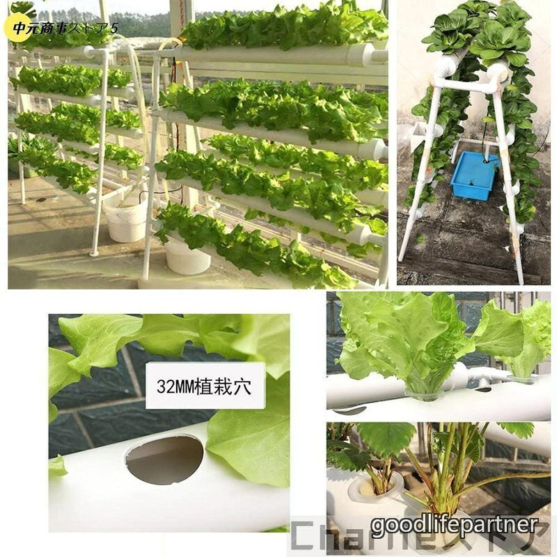 水耕栽培キット いちご プランター72穴 野菜 室内 水耕栽培セット 栽培キット 穴) ...