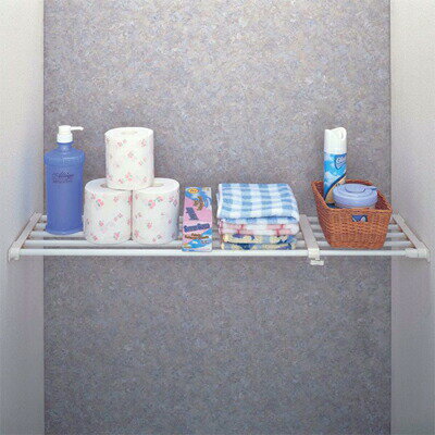 積水樹脂 セキスイ SEKISUI 強力パイプラック Mサイズ