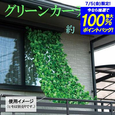 【送料無料】グリーンカーテン 1×2m 武田コーポレーション