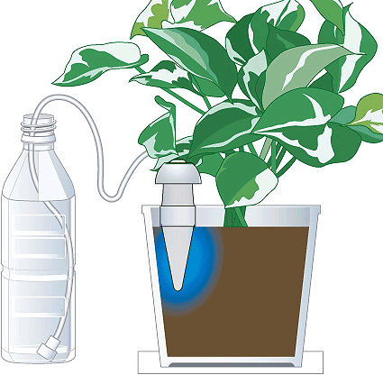 水やりはおまかせ！自動給水 みずやり当番 Mサイズ×2個組 水やり当番 ※商品の色は白色に変更になります【RCP】【#3222】