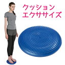 ＼レビューで1000円クーポン!／ vit Fit クッション 空気入れ付き エクササイズトレーニング フィットネス バランス ストレッチ 体幹 エクササイズ エアークッション キャプテンスタッグ CAPTAIN STAG