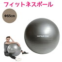 vit Fit フィットネスボール 65cm トレーニング フィットネス 腹筋群 バランス ストレッチ エクササイズ ボールバランスボール キャプテンスタッグ CAPTAIN STAG【CP】(4)