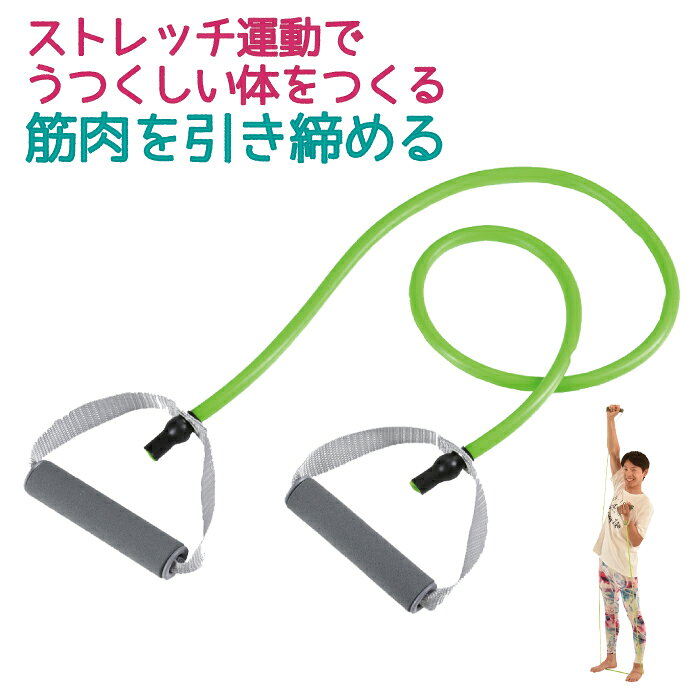 vit Fit ストレッチチューブ ハンドル付 ＜ ハード ＞ エクササイズ トレーニング フィットネス 上半身 エクササイズ キャプテンスタッグ CAPTAIN STAG 2