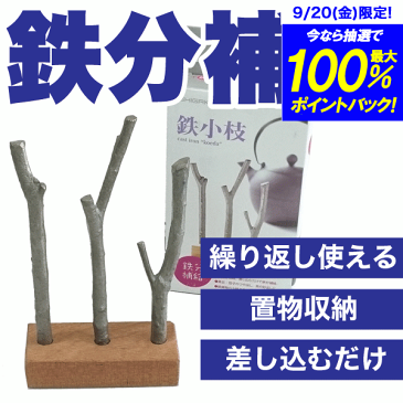 差し込むだけで鉄分補給 鉄小枝 鉄鋳物 オブジェのようなキッチン用品 鉄小枝 木台付き【RCP】【3941】