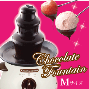 【送料無料】【廃盤。完売】 【おまけ付】とろ～りチョコの滝 チョコレートファウンテン リトルリッチ  ...