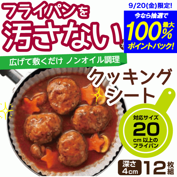 送料無料 フライパンを汚さない！ ノンオイル調理 フライパン用 クッキングシート 20cm用 12枚組 4つ折タイプ シリコーン加工紙 フライパンシート パール金属 【E-3663】【CP】