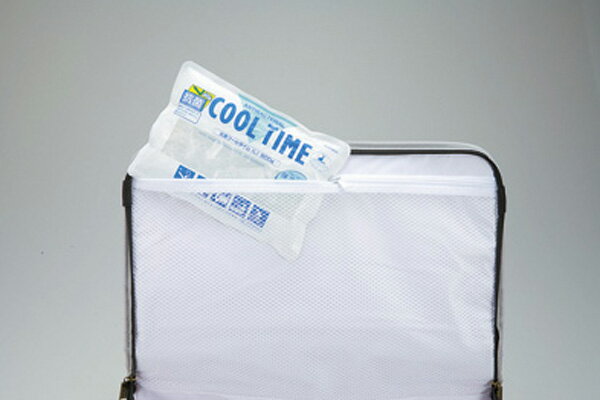 送料無料 デリス シルバーソフトクーラーバッグ 35Lサイズ CAPTAIN STAG パール金属 【M-1989】【CP】通販格安セール情報 楽天 通販