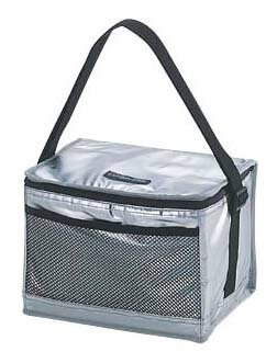 デリス シルバーソフトクーラー 6リットル パール金属 【RCP】【M-1850】