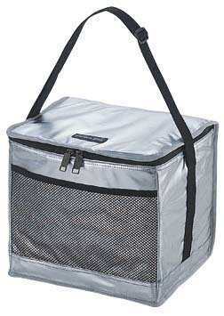 デリス シルバーソフトクーラー 15リットル パール金属 【RCP】【M-1851】通販格安セール情報 楽天 通販