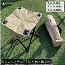 CS シャルマン ちょこっとチェア 折りたたみ式 コンパクト チェア イス 椅子 キャンプ アウトドア 公園 持ち運び スタイリッシュ 脚置き オットマン 足 ...