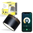 【ALEXA対応】エジソンスマート ウッド調 ミニシーリングライト(引っ掛けシーリング用/ウォールナットブラック) 木目調 スマート照明 スマートライト スポットライト 専用リモコン対応(別売)(3)