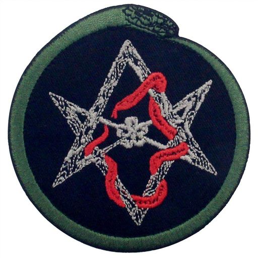 ウロボロス刺繍のバッジのアイロン付けまたは縫い付けるワッペン