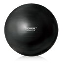 コナミスポーツクラブ ボディボール バランスボール パールブラック 65CM