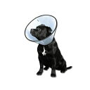 ファンタジーワールド傷口をなめて困る時にVETカラーXSクリア猫小動物小型犬介護手術ケガサイズ