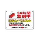 【24時間監視防犯カメラ作動中看板】通り抜け禁止私有地につき私道立ち入り禁止立入禁止進入禁止監視カメラ敷地内屋外防水プレート看板タイプ表示フェンス柵標示注意禁止警告