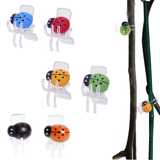 ChasCoCo洋蘭蘭植物てんとう虫植物サポートクリップ園芸クリップ接ぎ木クリップ支柱誘引クリップガーデンクリッププラントクリップポッティングスティック6個入り(6色)