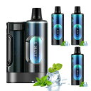 HECCO 電子タバコ VAPE シーシャ ポッド3個付き 約15000回吸引回数 アイスミント カートリッジ交換可能 大容量 使い捨て 持ち運びシーシャ ニコ...