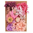 PATIKILナチュラルドライフラワー複数のカラフル本物のドライ押し花植物クラフト樹脂ソープキャンドルスクラップブッキング用ライトピンク